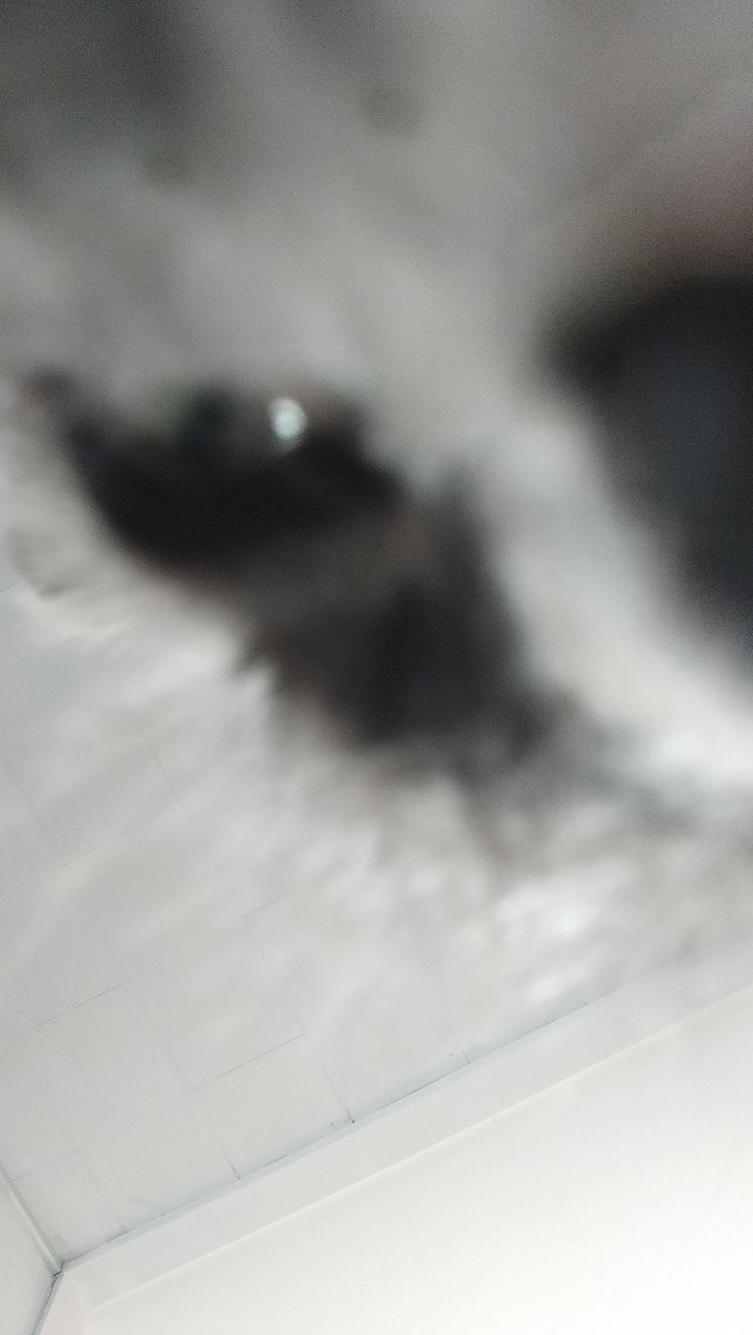 DumbNoms's tweet photo. ?????? ? ?? ???? https://t.co/9T9AWoHlV1