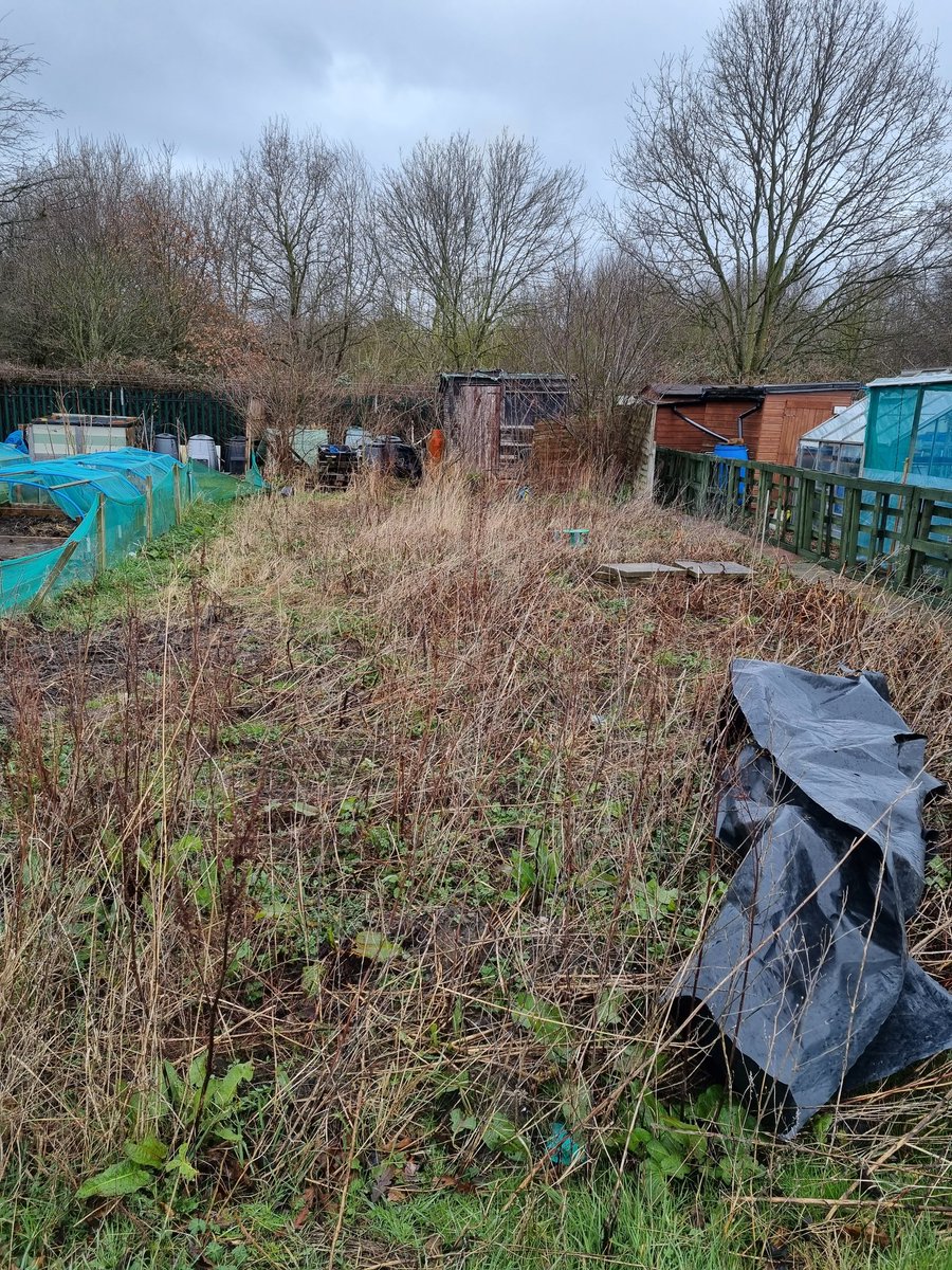 Anna278246's tweet photo. My before and after of my happy place, just over a year apart. #kitchengarden #allotment #peace https://t.co/5S2ZU6dA4e