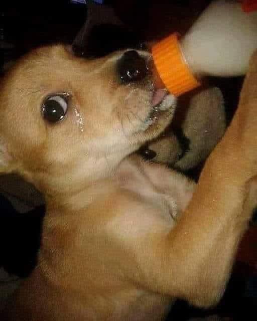 Farm responsibly <a href="/tipcoineth/">tipcoin</a> $tips

So you will not have tears later