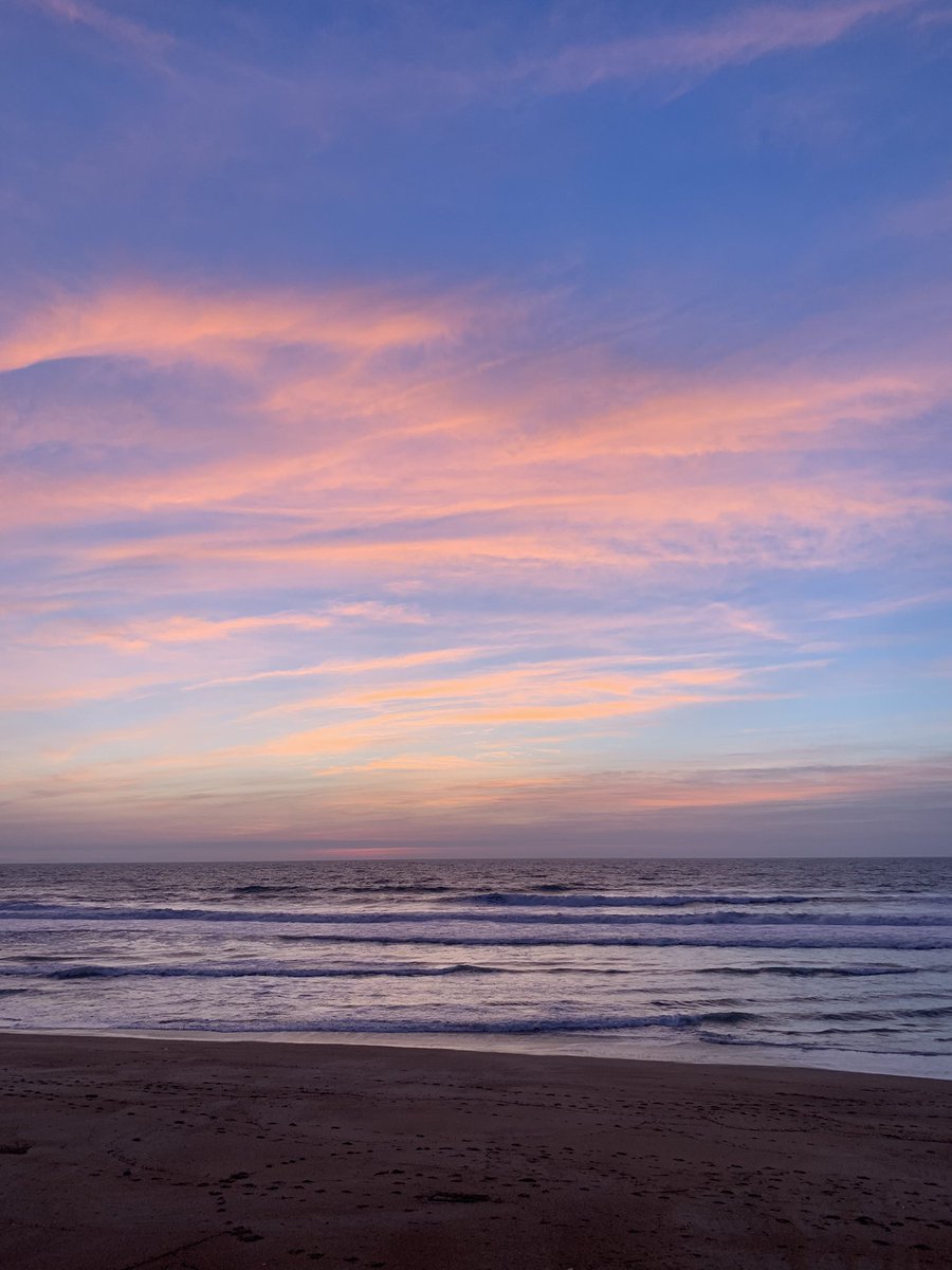 Prescilia tweet media