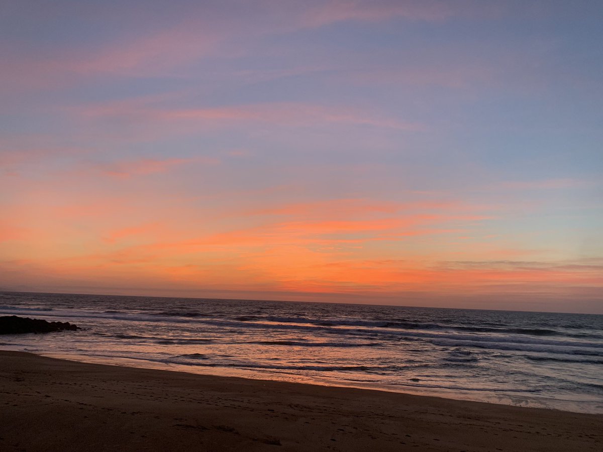 Prescilia tweet media