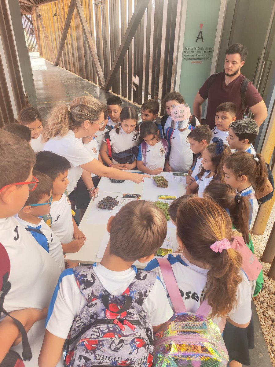 ¡Menuda experiencia! Disfrutamos pisando uvas 🍇 y aprendiendo a elaborar mosto en el Museo de las Ciencias del Vino de Almendralejo.  #Abraza🫂 #TallerDeLaVendimia #3ºEP
