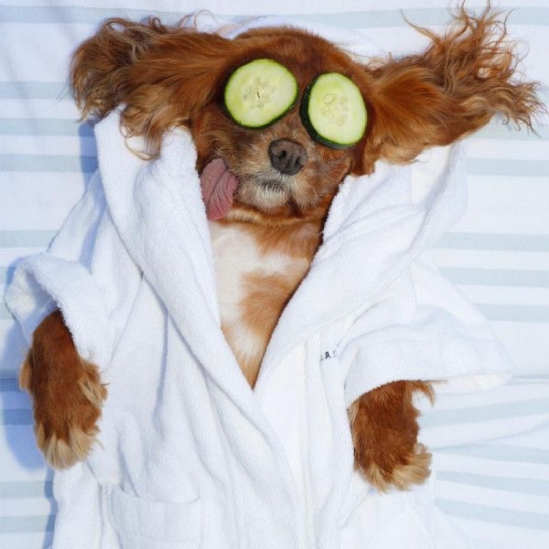 MyFashom's tweet photo. Relax, our stylists have you covered. 

#Fashom #BetterAsIAm

For every purchase made from Fashom, $1 is donated to Second Chance Rescue in NYC! For more info check out https://t.co/xFAkuoWa8L https://t.co/gV1mh0m8Xv