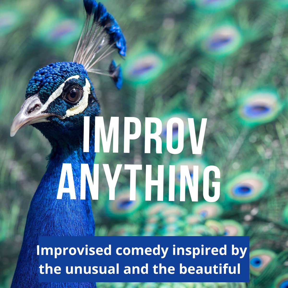 nicholas_oram's tweet photo. Super excited for Improv Anything at @hooplaimpro this Saturday night, with amazing cast @SueHarrison123 @MrRhysCollier Britt Pay and Chloe Godman. Tickets and all the information you need here- https://t.co/U75qyErOiN https://t.co/KlTcfQBtWH