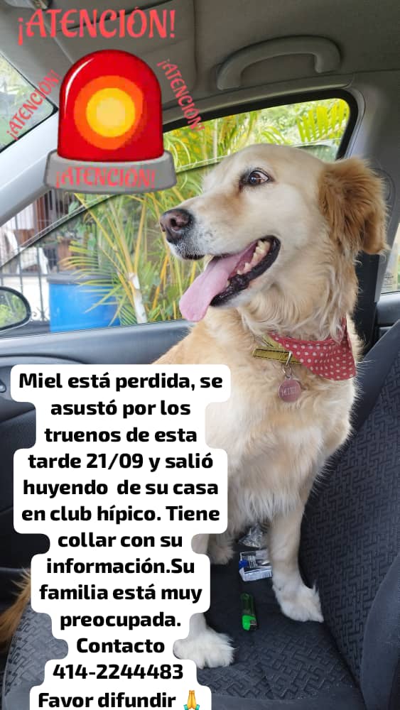 yaracalcagno's tweet photo. Se busca. https://t.co/Gg3W4DdLaE