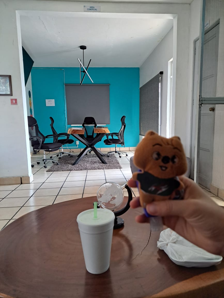 heudeni12's tweet photo. @2minnerrr Yo sí saco a pasear a mi Quokka porque esta bien piratón y le gusta andar de callejero jajsja https://t.co/eT39F9GX0O