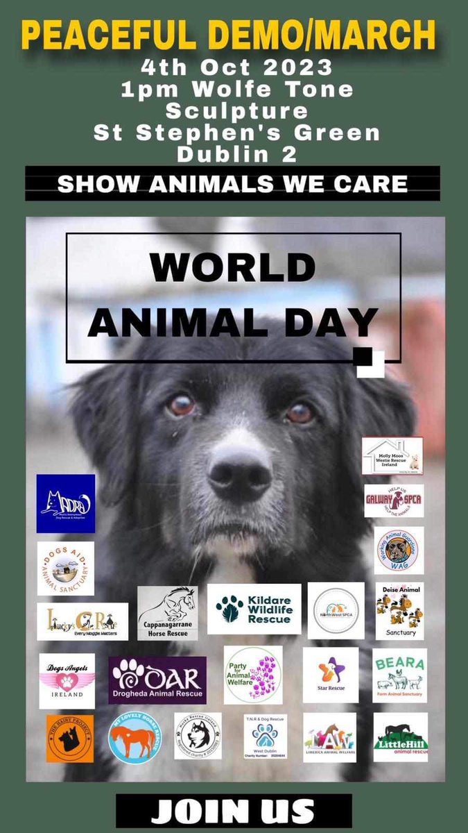 WHAT WILL IT TAKE FOR THE PUBLIC TO STEP UP &amp; BE A PART OF OUR CAMPAIGN 🇮🇪🇮🇪🇮🇪🇮🇪🇮🇪🇮🇪🇮🇪🇮🇪

THERE IS NO EXCUSE FOR ANIMAL ABUSE PERIOD.

#worldanimalday #Ireland #dublin #peacefuldemo

OCTOBER 4TH 2023 - MEET @ 1 p.m. - WOLFE TONE SCULPTURE - ST.STEPHEN’S GREEN, DUBLIN 2.