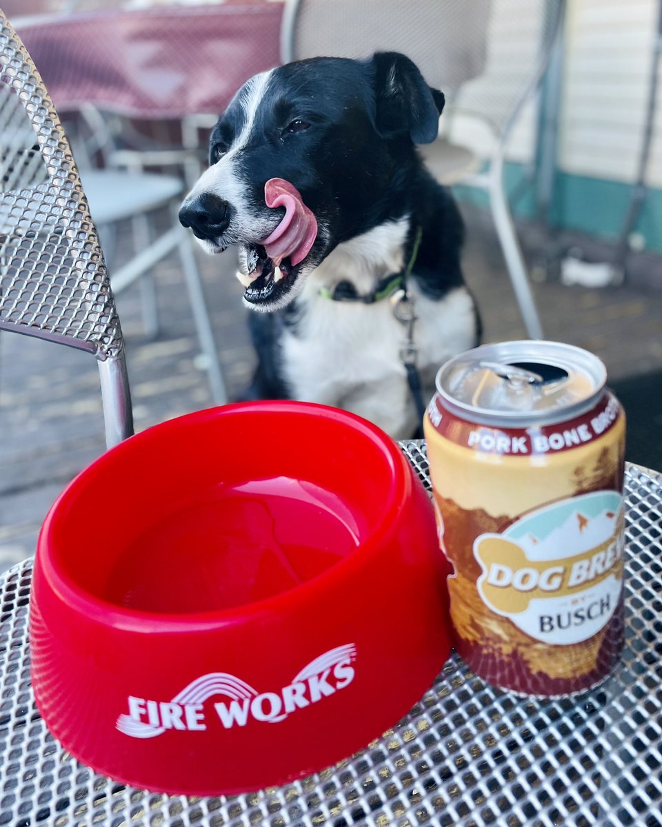 PenderbrookGCM's tweet photo. Celebrating the end of the summer! @DogsOfTurf https://t.co/0vLXR1zdSu
