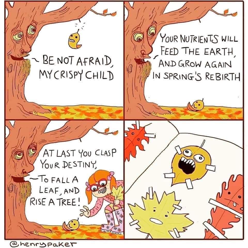 That's a rough life to end up in...