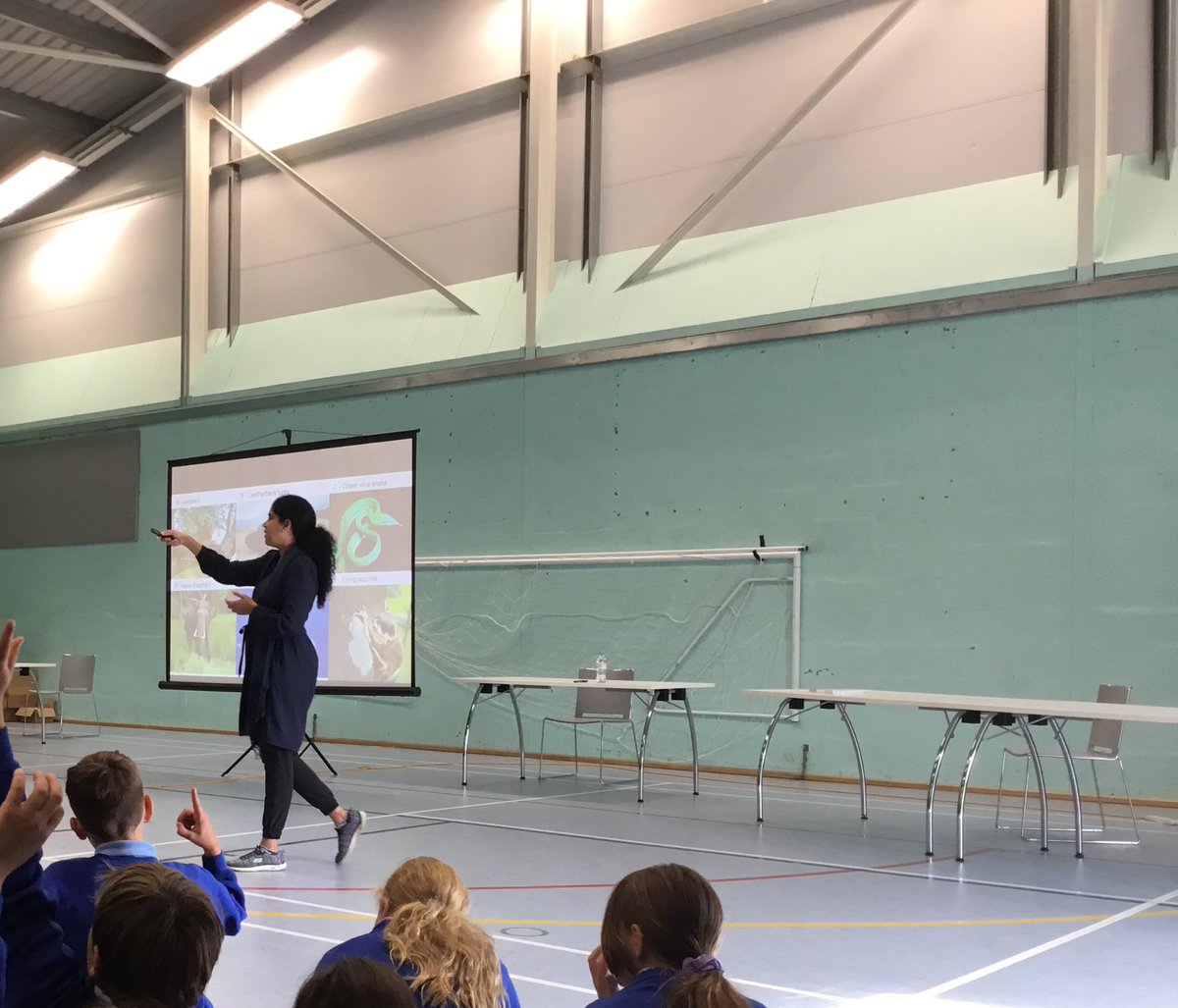 MrsFWren's tweet photo. Years 5&amp;6 thoroughly enjoyed the animal-themed author talk with @NizRite as part of @MarlbLitFest last week. We are now eagerly working our way through the series of books 🐘🐆🐋🐻 #lovebooks @w_woodborough @EquaMat https://t.co/szNoWeunDD