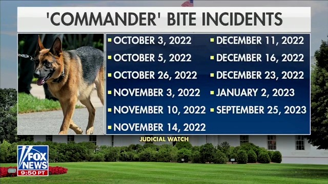 atrupar's tweet image. new article of impeachment just dropped