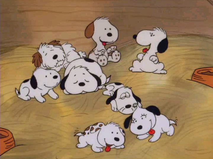 anodizedb's tweet photo. Everyone needs to know about Snoopy's siblings - I've learned that too many people in my life don't so I'm spreading the news https://t.co/NagJVyAN8Y