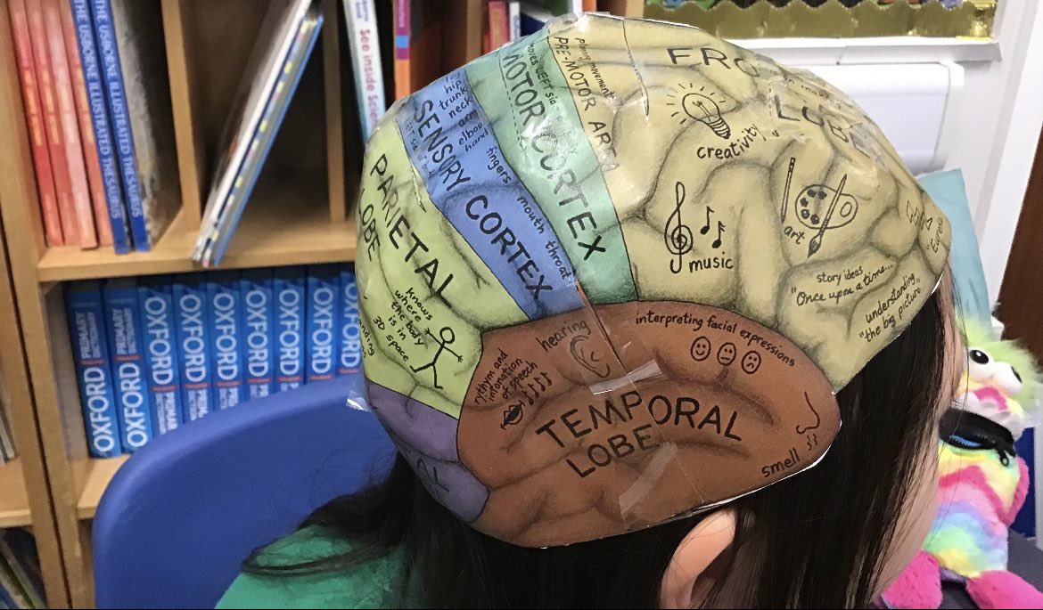 Meole_Primary's tweet photo. STEM club are busy being scientists this term learning all about our BRILLIANT BODIES.
This week we persevered and worked together demonstrating our school values whilst creating brain hats, identifying what each part of the brain does. 🧠🥼🧪
Well done, scientists! https://t.co/MWg6HMtC7V