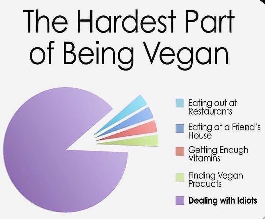AbolitionAdam77's tweet photo. This sums it up nicely… #vegan 🌱 https://t.co/1UqaAIuFlC