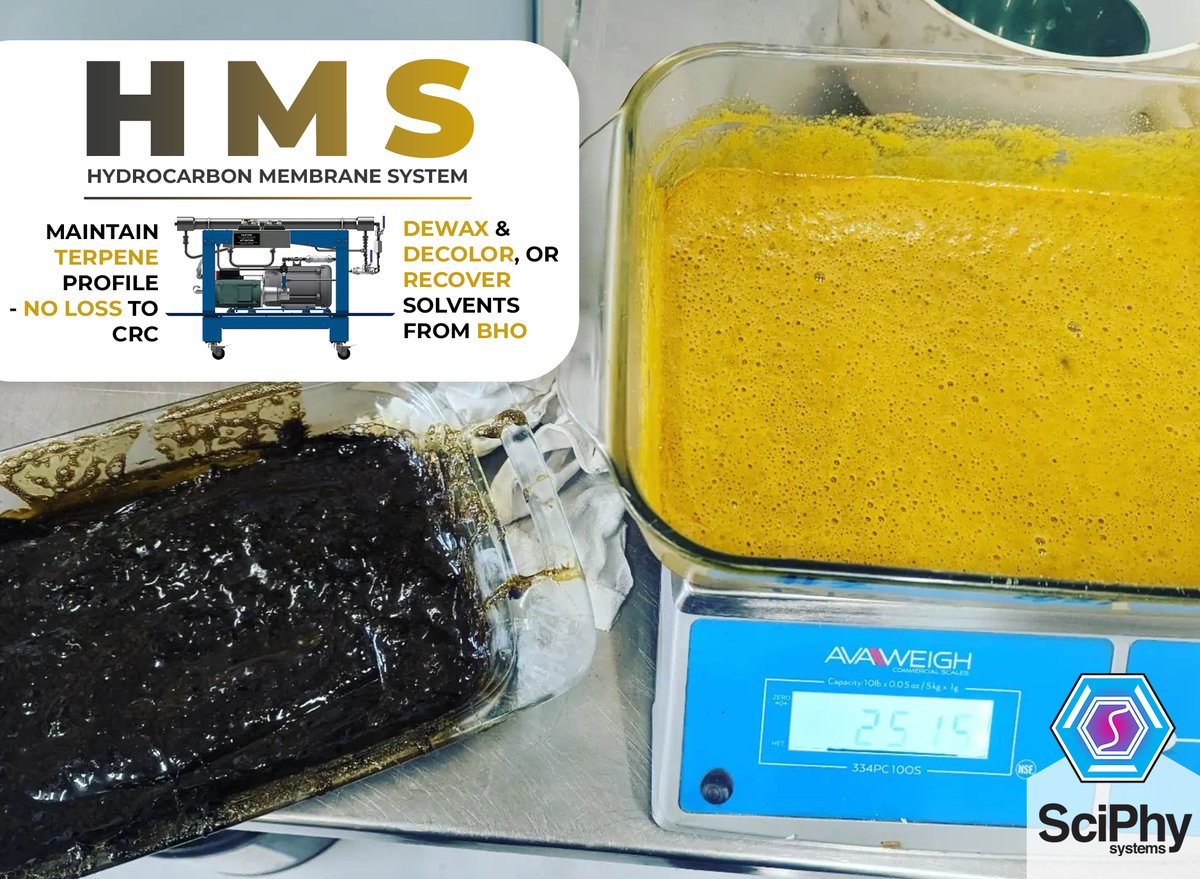 SciPhySystems's tweet photo. From Sludge to Sugar: Hydrocarbon Membrane System (HMS) now available! Our New HMS system turns untreated crude into terpene-rich, dabbable oil without granular media or crude taste. Integrates with existing butane extractor. DM for more info. #sciphysystems #cannabisextraction https://t.co/afNcOMMiUh