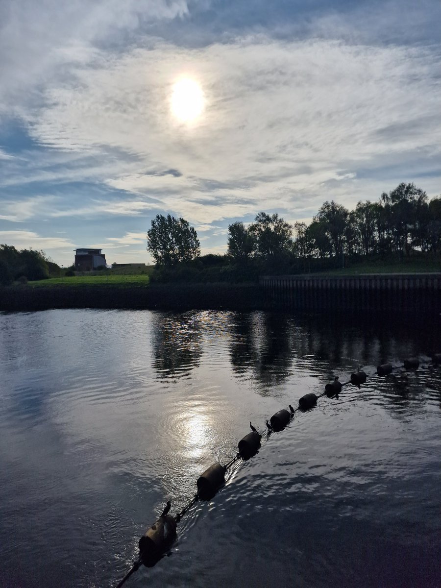BentleysCoulby's tweet image. Another sunny @britainsmallbiz @BTBusiness #NetWalk from Northshore around the Tees this morning, and no sign of Storm Agnes!

Thanks to everyone for joining @MissEmily_B on the walk. Hope you made some valuable connections. We look forward to welcoming you in October, date TBC!