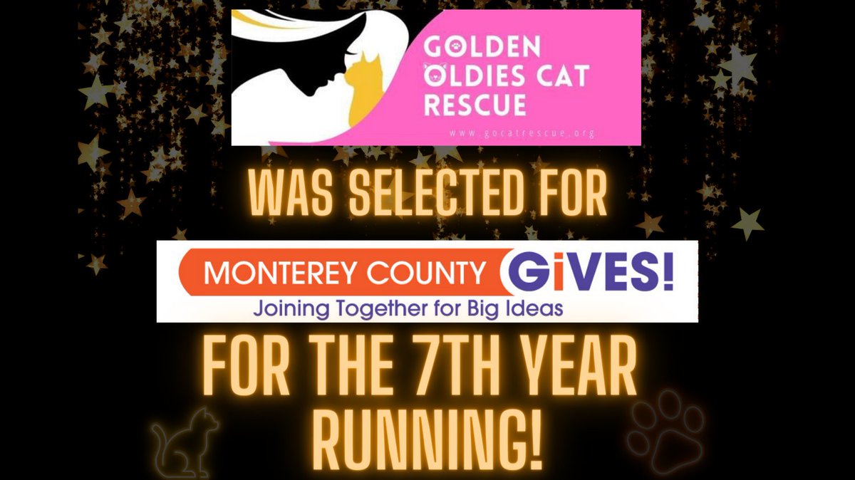 🎉 We're in Monterey County GIVES for the 7th year! 🙌 Ranked top 10 among 200 nonprofits thanks to YOU! Raised $80K last year. Let's champion older cats 🐱 together again. Stay tuned from Nov 9th - Dec 31st. Your support means their world! 🏡❤️ #mcgives #monterey #oldercats