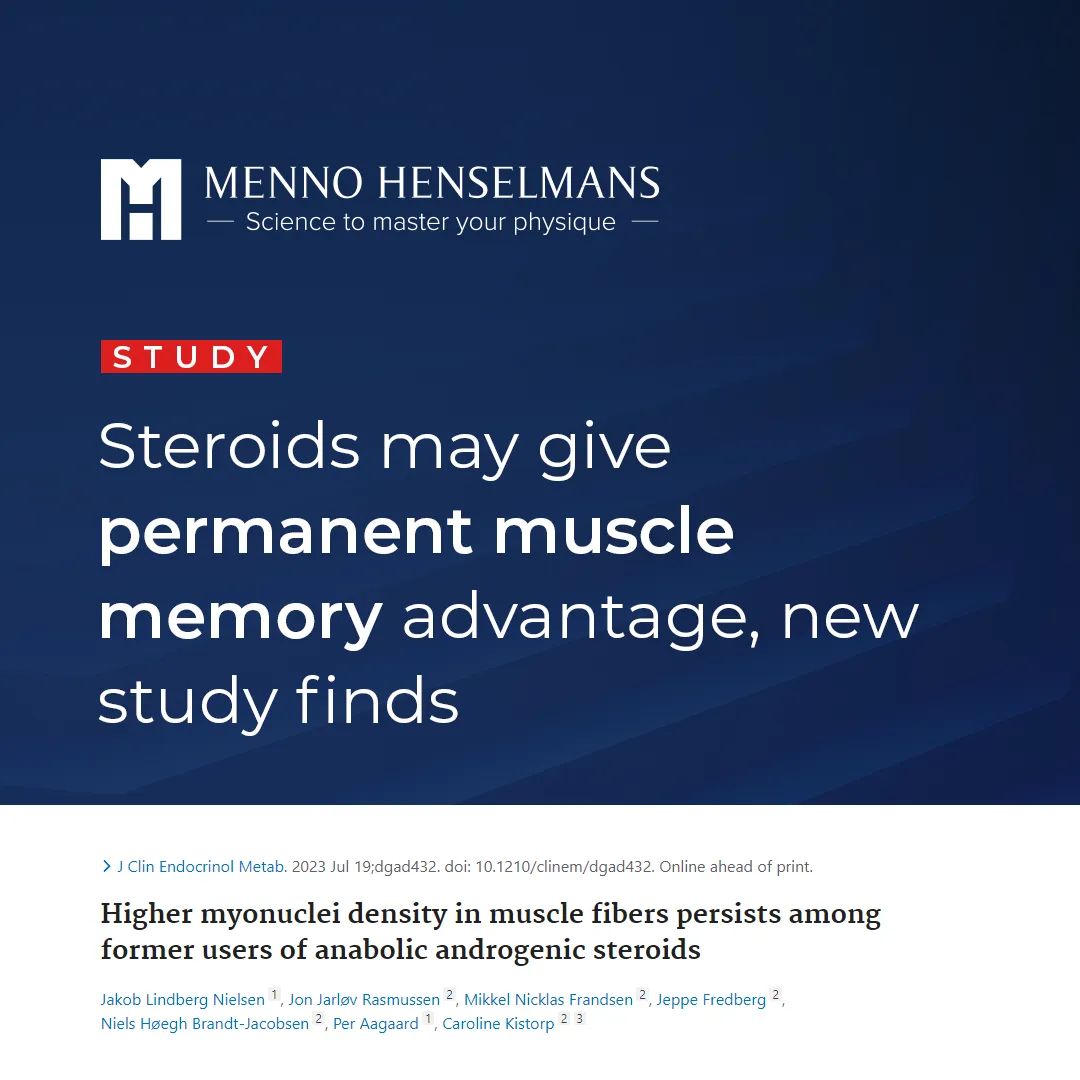 MennoHenselmans's tweet photo. Steroids may give permanent muscle memory advantage, new study finds
#bodybuilder #bodybuilders #bodybuilderlifestyle #bodybuildermotivation #bodybuilderlife #mennohenselmans #personaltrainer #personaltrainers #personaltraining #personaltrainerlife #personaltraineronline https://t.co/KNpZtxV8Cw