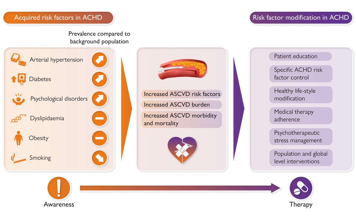 Acquired cardiovascular disease in adults with congenital heart disease: is it possible a strategy for the prevention? #congenital #heart #disease #ESC #consensus #cardiotwitter #EHJ @escardio @ESC_Journals academic.oup.com/eurheartj/adva…