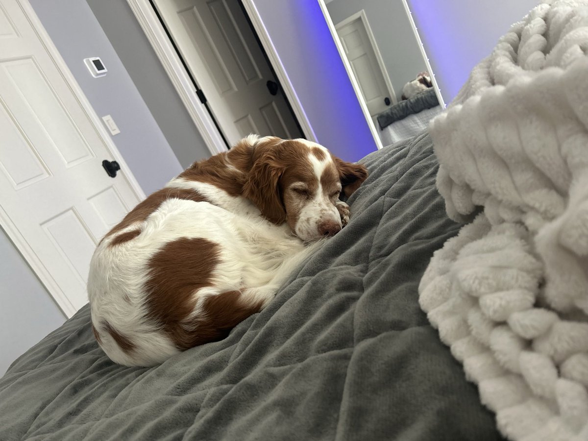 South Carolina Republican State Party Chair tweet media