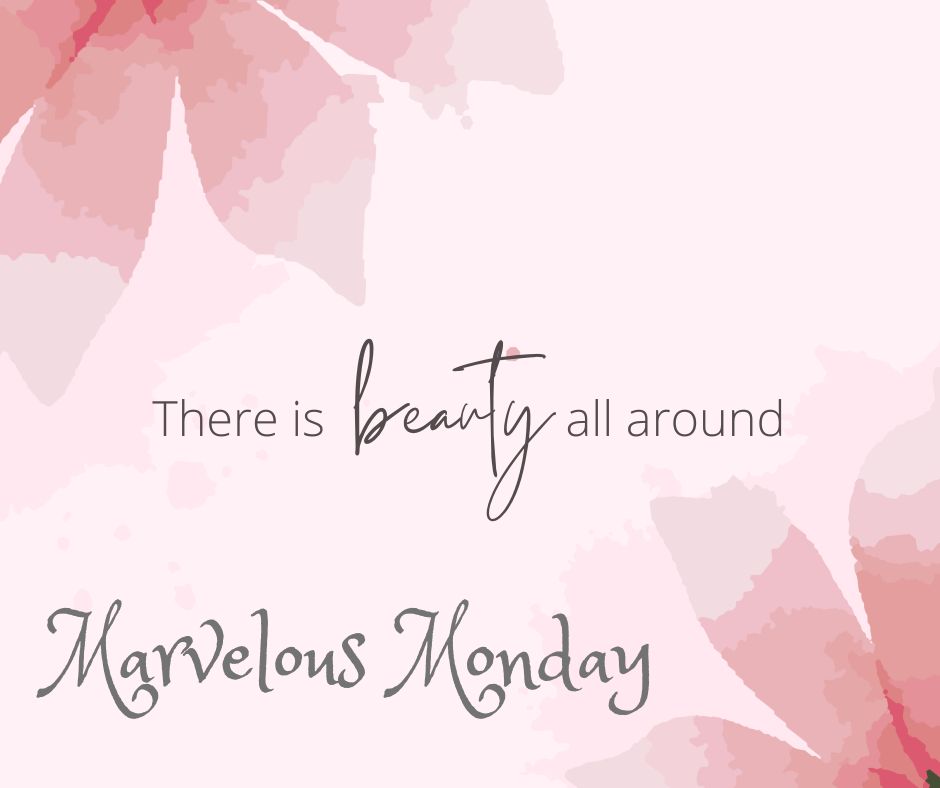 Trishkolb's tweet photo. Your Monday morning thoughts set the tone for your whole week. See yourself getting stronger, and living a fulfilling, happier and healthier life. #marvelousmonday #Sunlakesarizona https://t.co/ZZHD4gfWQx
