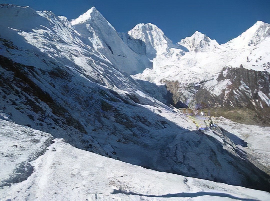 Tail the hedgeho tweet media