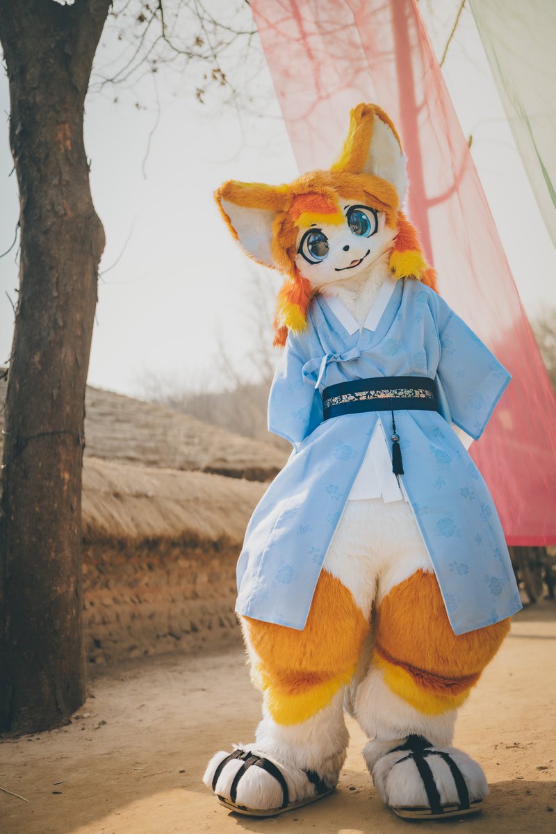 🎑
📸: <a href="/Kkolibyeol/">꼬리별</a> 

#FursuitEveryday #Fursuit