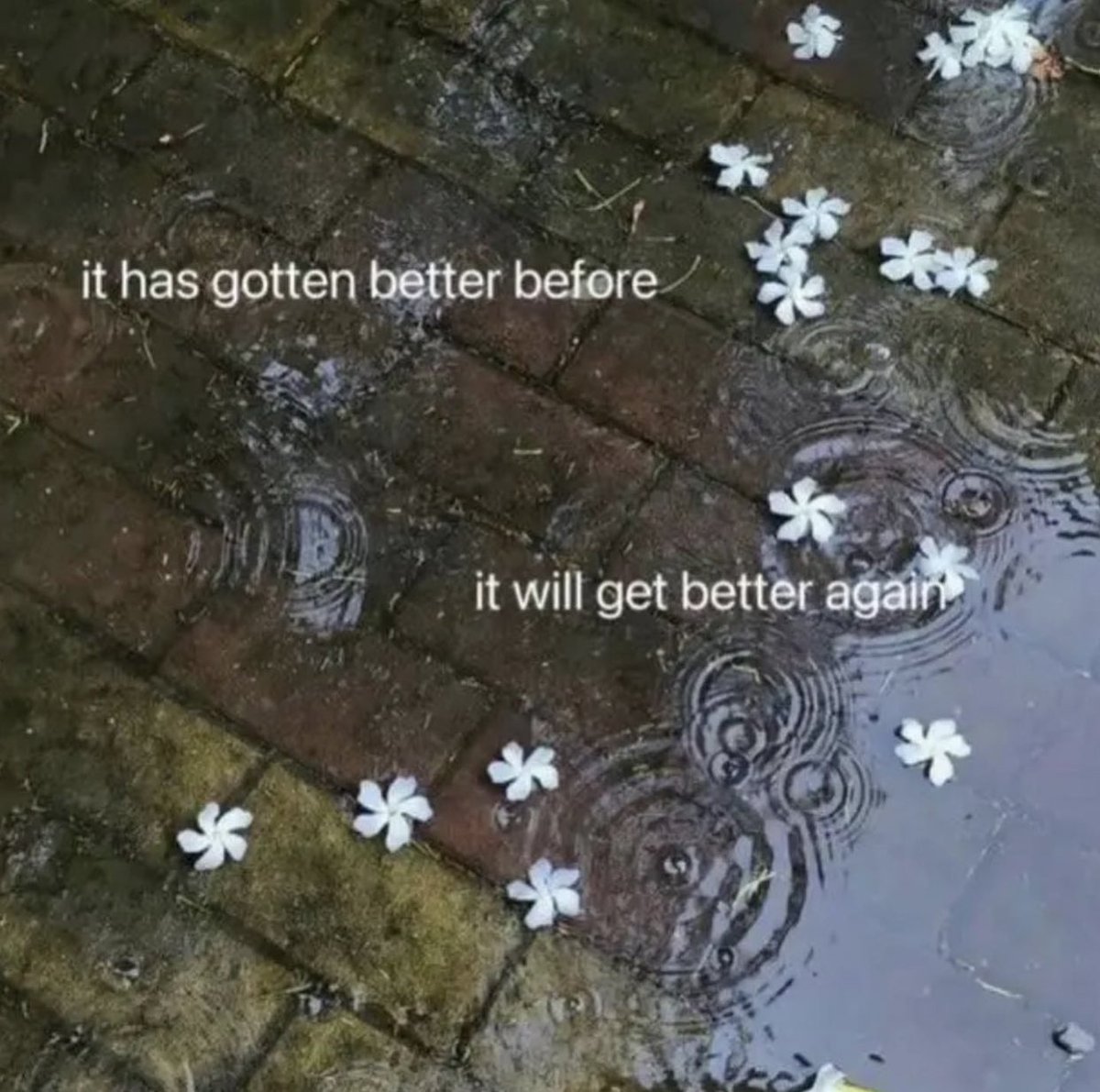 Respectful Memes (@respectfulmemes) on Twitter photo 