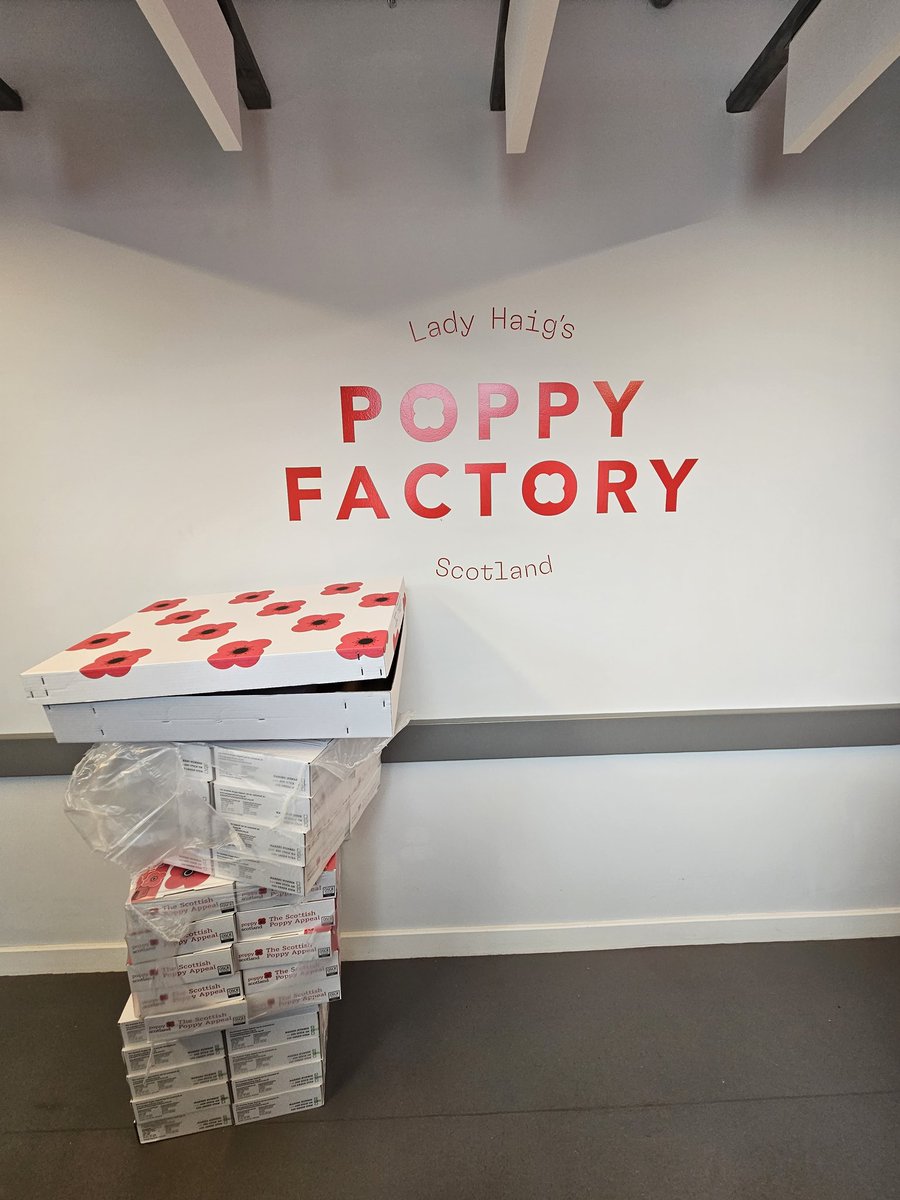 Sehar Sardar tweet media