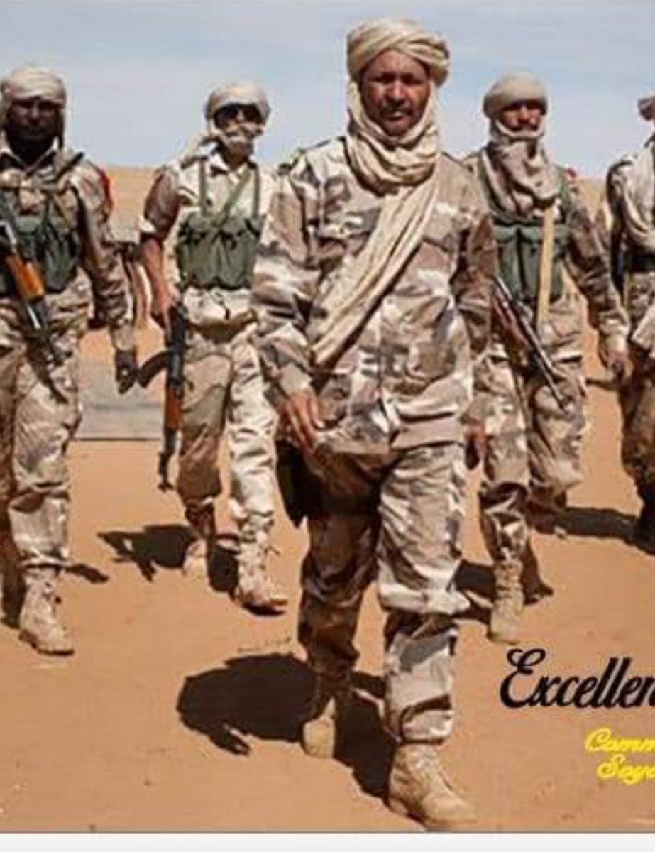 DelphineSora's tweet photo. 🔴Mali🇲🇱/#Tombouctou, la ville #Acharan est sous contrôle des Forces Armées; le ratissage est en cours avec le vrai Touareg Malien #Général_Gamou.
Cet homme est le seul vrai combattant des vrais Touaregs Maliens🇲🇱.
Les autres Touaregs Enfants français🇫🇷 périront !
@attaye_ag https://t.co/gTk4vQwVfQ