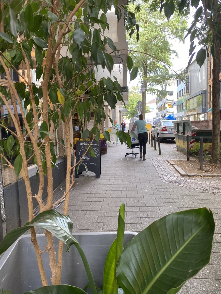 Aleksa Kaurin (she/her) tweet media