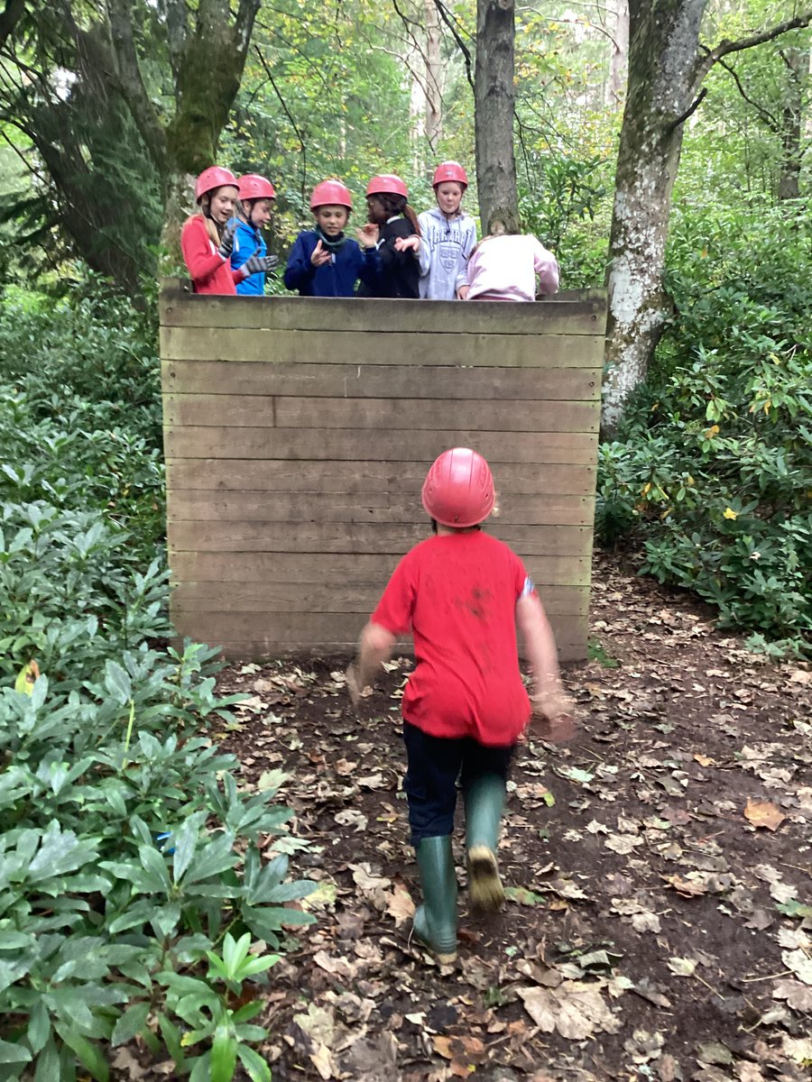 Lawhead PS tweet media