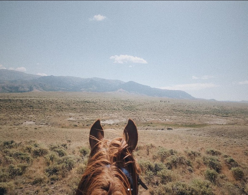 rideworldwide1's tweet photo. Wild horses in the distance on Wyoming’s Bitterroot Ranch. The 2023 season is coming to a close with the final week’s cattle round-up taking place now. Email info@rideworldwide.comto book for 2024! https://t.co/wQhwXMqB3V