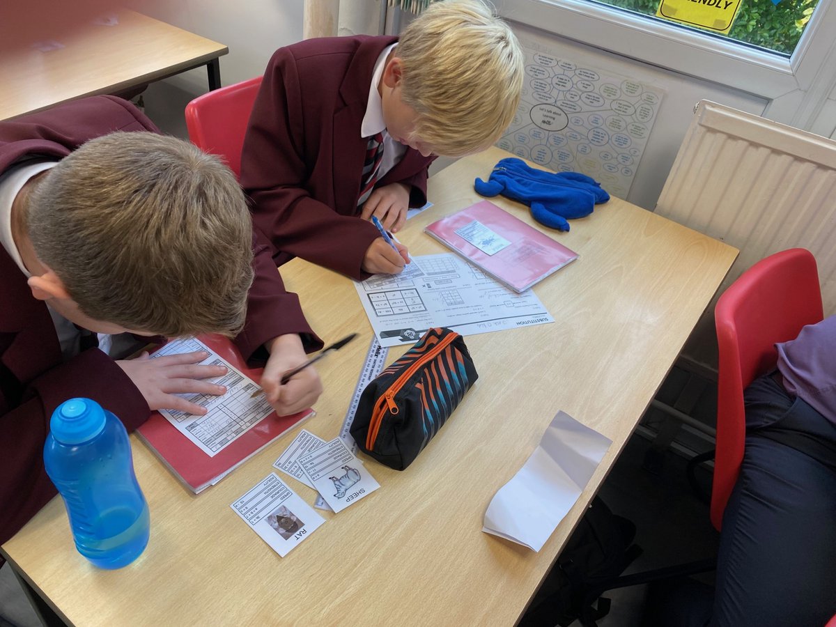 Some of our year 7's today were enjoying substitution top trumps!