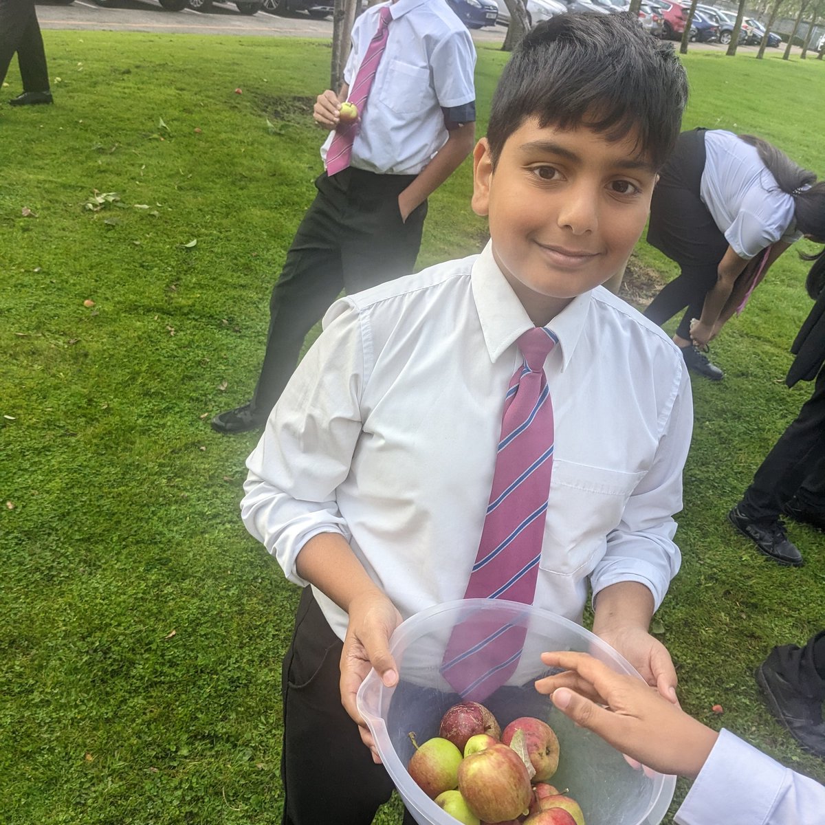 fimblack's tweet photo. Gathering the apples from our gloriously abundant apple tree with yr 7s in food and nutrition. Apple and berry crumble using surplus from @SumaWholefoods no waste by using peel for apple vinegar too. @connect_tha @HalifaxAcademy_ @NoChildBehindUK #apples #nowaste https://t.co/lyLzkDo5zo