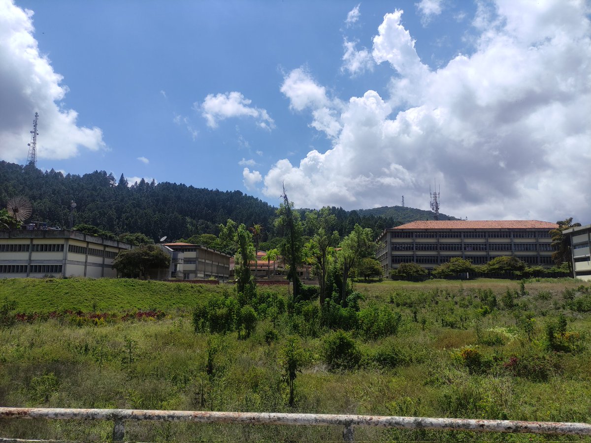 Julex115's tweet image. El fallo en la universidad recae en toda la comunidad y se refleja en el cromo...
Al final no supimos cuidar...