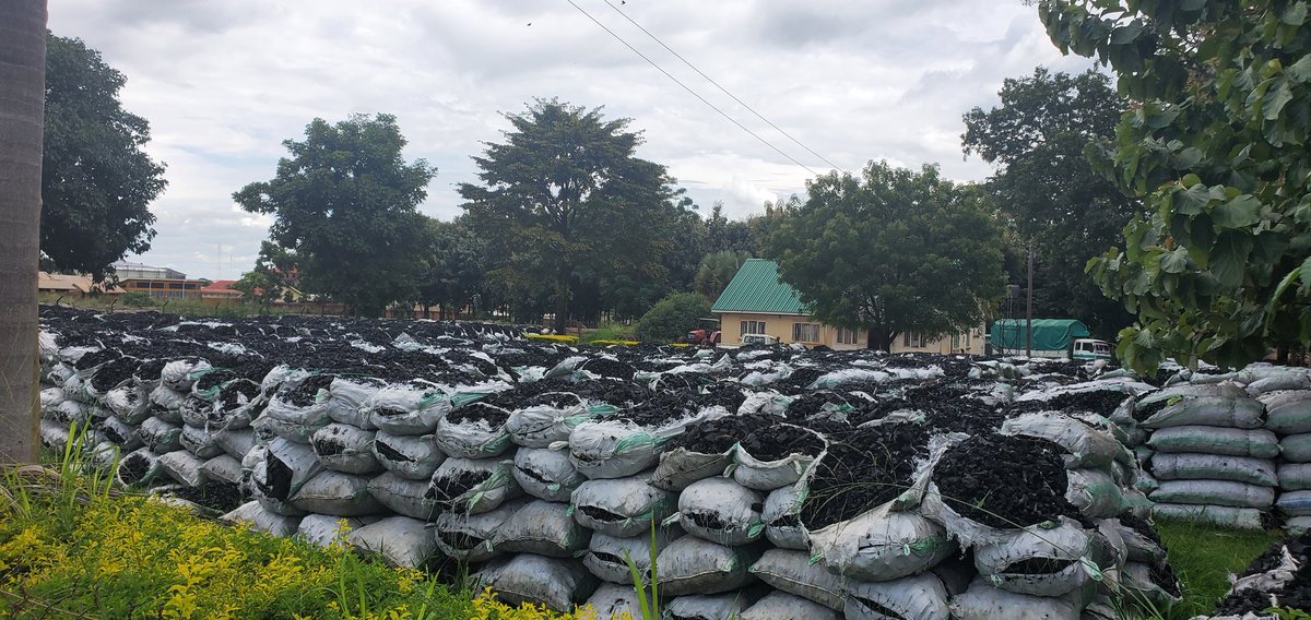 Opolacen's tweet photo. Why did they confiscate the charcoal if they didn't have plans to auction them before they waste away. Can't we donate to hospitals, prisons, orphanages, schools? What is our media doing with this in plain site at NFA Gulu office. @nbstv @ntvuganda @OttoSam50178310 @OjokOkot_ https://t.co/vCMbmiTJu4