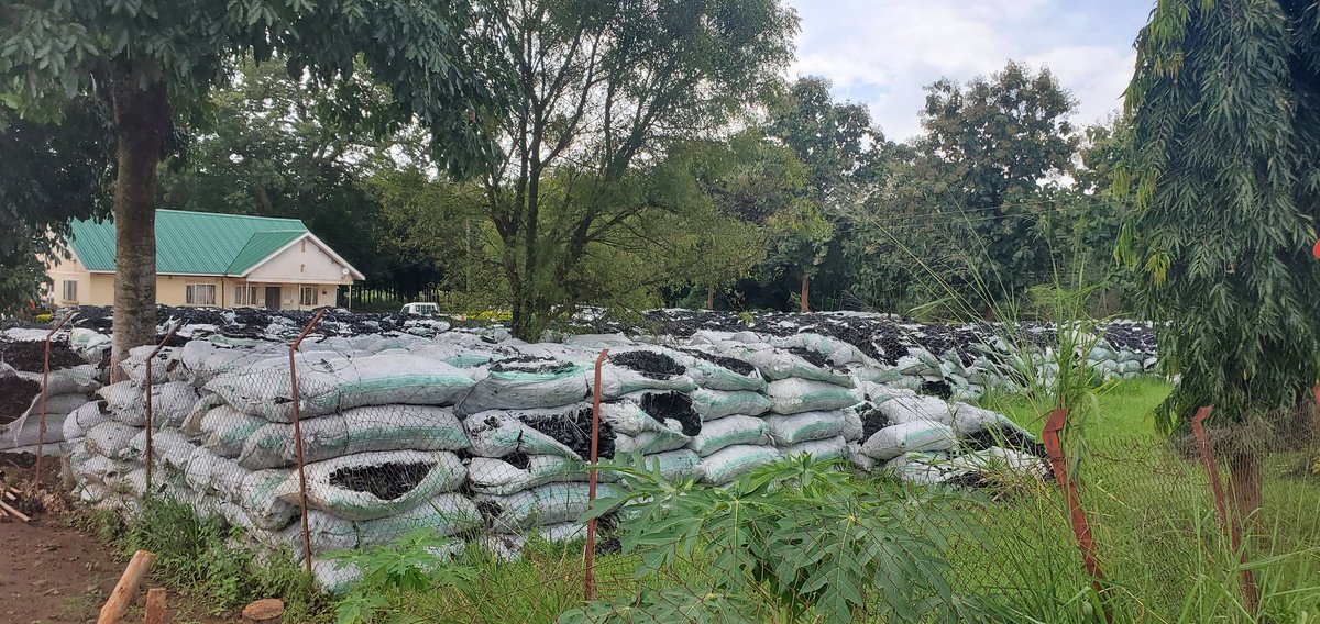 Opolacen's tweet photo. Why did they confiscate the charcoal if they didn't have plans to auction them before they waste away. Can't we donate to hospitals, prisons, orphanages, schools? What is our media doing with this in plain site at NFA Gulu office. @nbstv @ntvuganda @OttoSam50178310 @OjokOkot_ https://t.co/vCMbmiTJu4