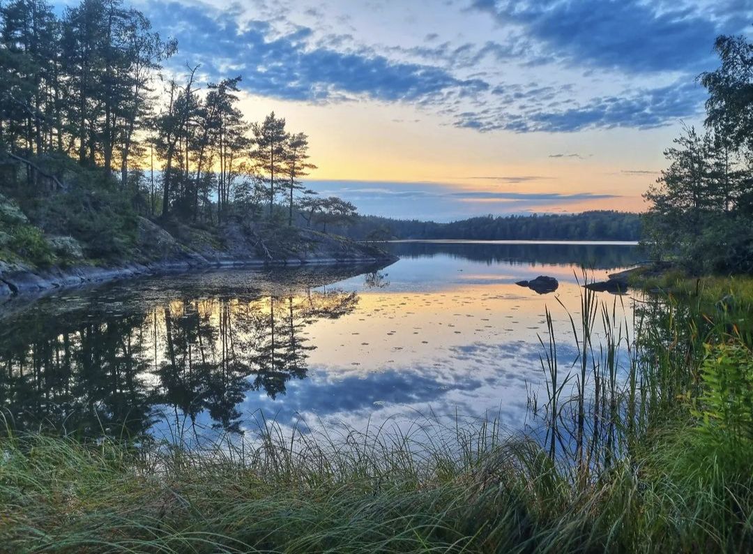 BasurdeEditions's tweet photo. ⚡️Aventura del día⚡️
⚡Adventure of the day⚡️
.
Tyresta NP ✨ - Photo by @joanpllambrich 🎉Enhorabuena!
.
#tyrestanationalpark #tyresta #sweden🇸🇪 https://t.co/Qm0s70KDnv