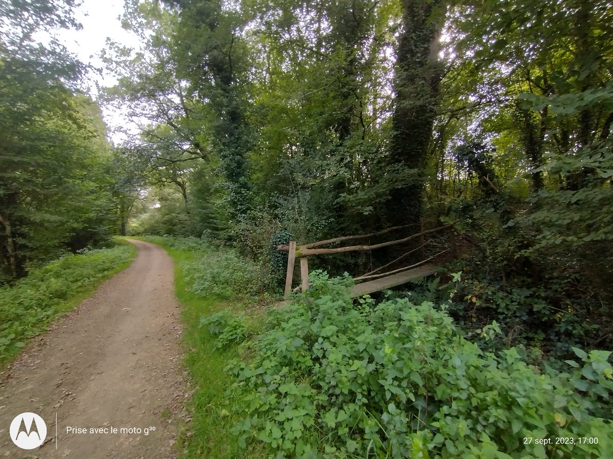 ThiChaplain's tweet photo. Réutilisation de #caillebotis en béton pour faire un passerelle sur un rû. Voilà de la #réutilisation de terrain. puis  les garde-corps avec des #perches de bois mort c'est mieux que du bois de #scierie. Pas besoin que cela soit beau mais que cela soit utile. https://t.co/FUBmXvUwVi