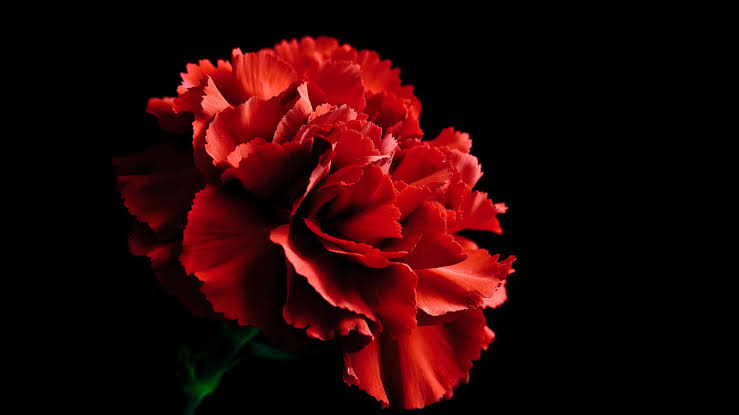 Kitty06996's tweet photo. @princess76439 @SuhartoGalih @HeavrinSid13811 @juliet_sac74956 @Nurdin96382256 @e_choat
@SMlitner43276 @SolomonFideli20 @A70154793
@ChasityKra8930 @OsowPriscil
@Ydnewnei @yanw34402
@GarethM48894494 @StefanA78433142 @CandyLynne673 @domin_cu
@Gustavo33380556 @parhomi3000 https://t.co/HeHaN9HNqf