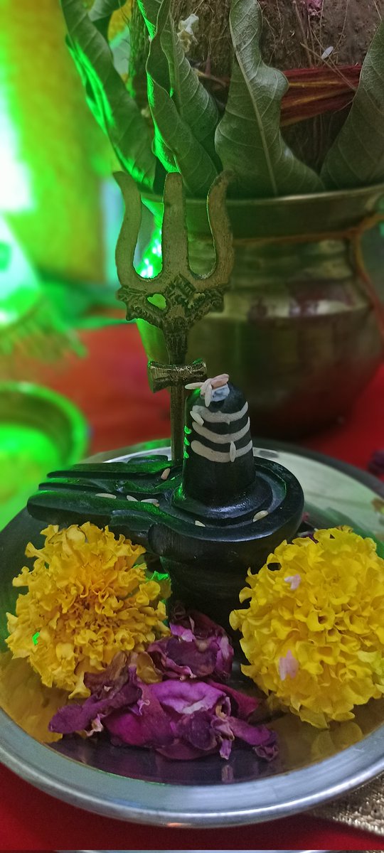 Shadez_of_Life's tweet photo. नवम दिवस... बस एक दिन और.... 🙏
#Ganeshotsav https://t.co/dA0pfuBtbp