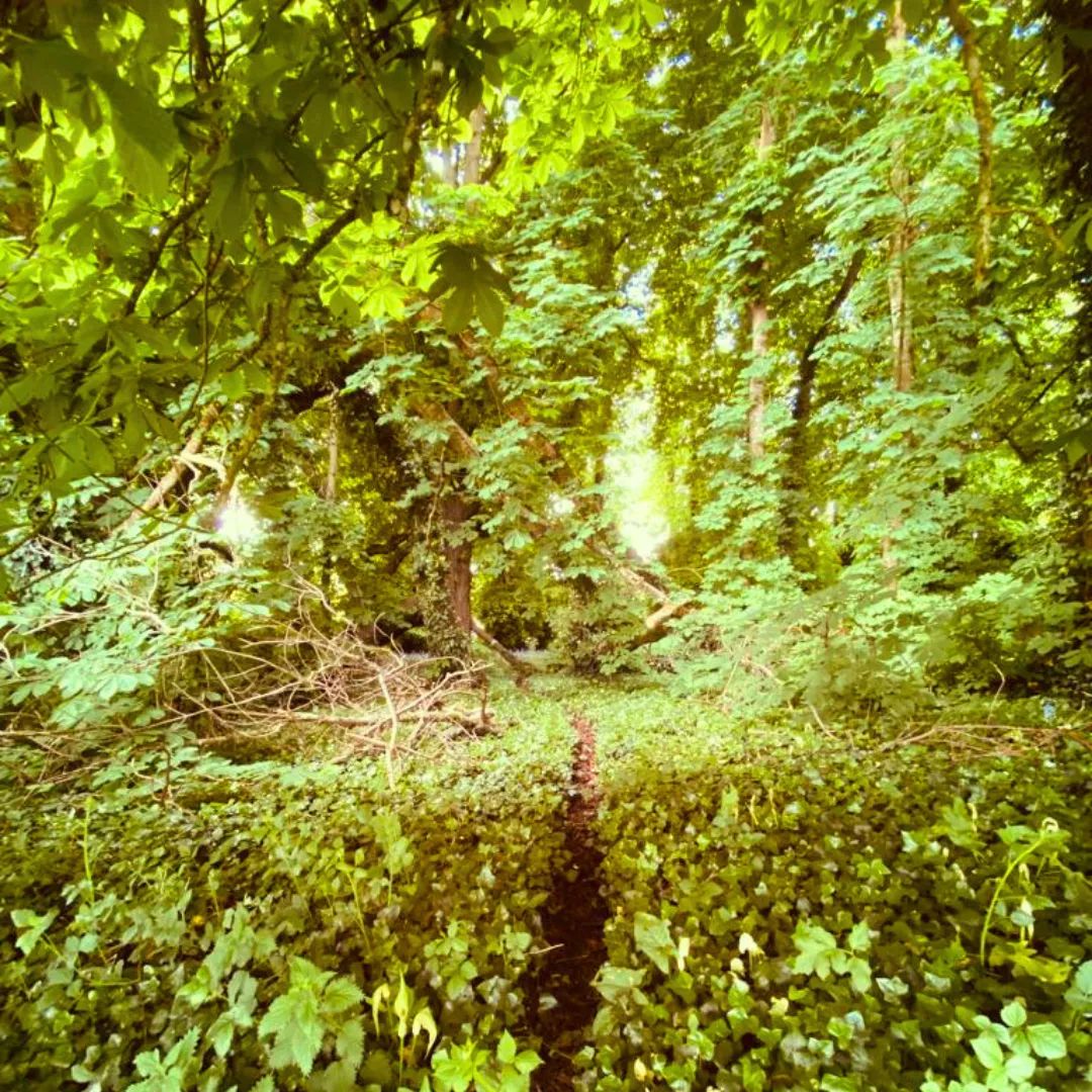 LornaByrne's tweet image. It’s so simple. All that in you have to do in a sense is say good morning to your Guardian Angel . Just acknowledge to yourself that you’re not walking down the street or sitting in the chair alone - you’re surrounded.

Blessings Lorna

#itssosimple #itsnothard