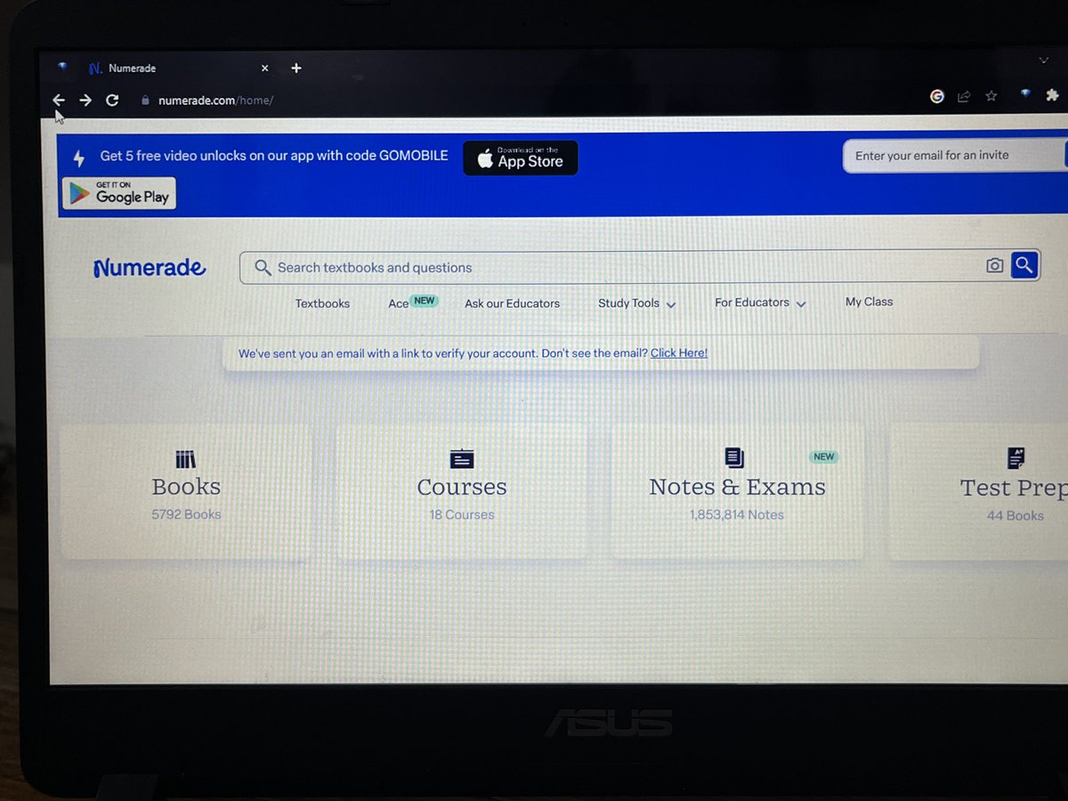 maxinaaa tweet media