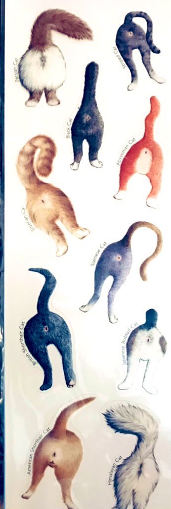 AutumnMistDance's tweet image. Haha! 🤣 Hope this gives you a smile. 🙂
My sister introduced me to cat 🐈 butt…Items…
Magnets 🧲 for the fridge, stickers, even gum 😛!
I have the stickers &amp;amp; gum. Who wants a piece?🙂🙃

#YesImWeird 🙂🙃#NotForEveryoneHumor #CatsOfTwitter 

Source: blueQ.com