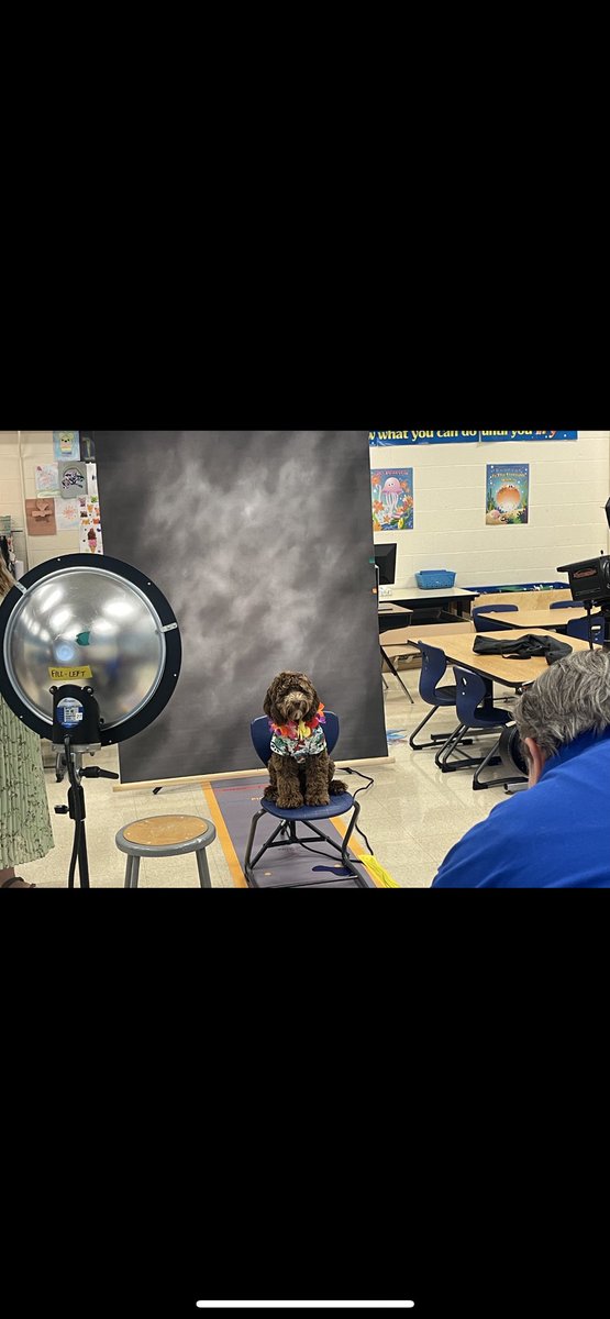 the_claww's tweet photo. Cooper was ready for picture day today!! 💚 https://t.co/OdnklMVQES