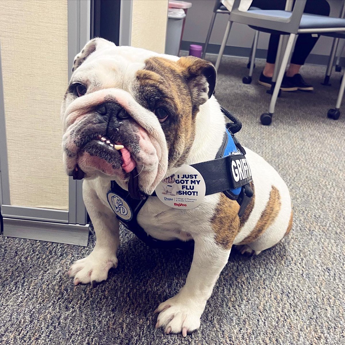 Drake CPHS tweet media