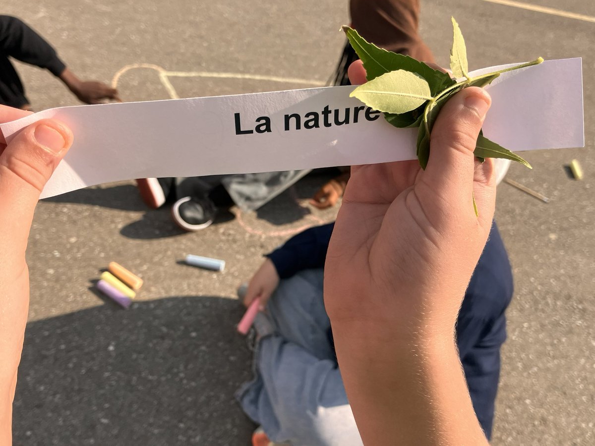 MmeFellows's tweet photo. Room 10 took our learning outside to create a visual dictionary of our French Grand River vocabulary words. https://t.co/EaaBxql9Io