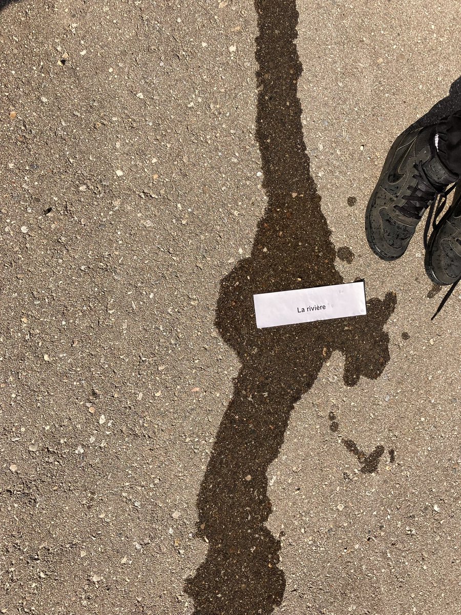 MmeFellows's tweet photo. Room 10 took our learning outside to create a visual dictionary of our French Grand River vocabulary words. https://t.co/EaaBxql9Io