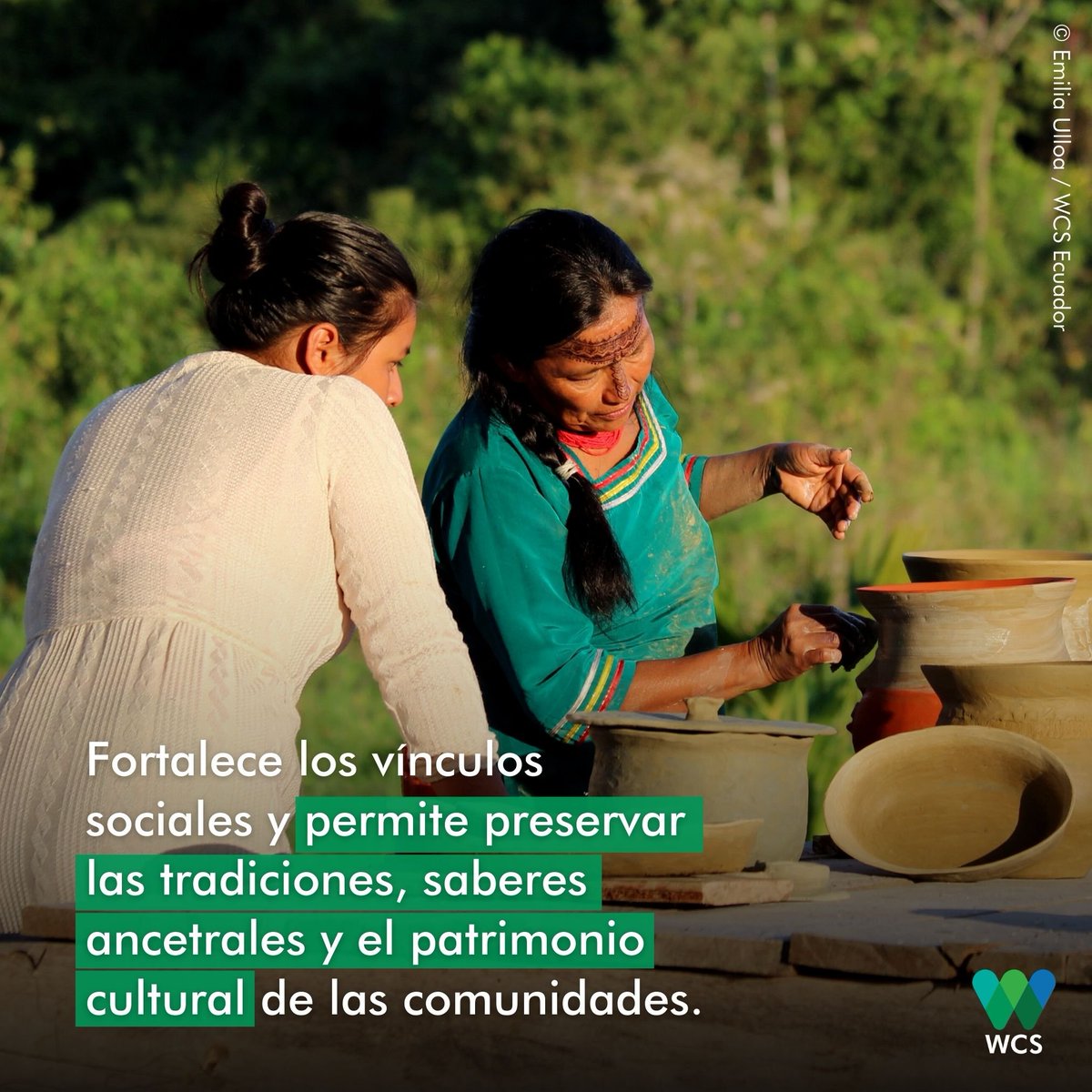 WCSEcuador's tweet photo. #DíaMundialdelTurismo | Hoy, el mundo celebra el #DíadelTurismo y desde @TheWCS promovemos el #TurismoComunitario. 🌱Esta práctica genera medios de vida más sostenibles, y al mismo tiempo, impulsa el empoderamiento de las comunidades y la conservación de la naturaleza. 😉
🖐️💚💙 https://t.co/GRNARULx6k